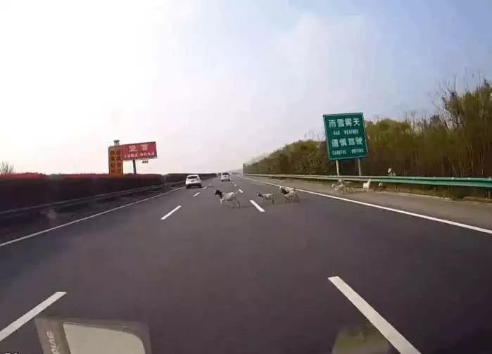 美国好莱坞山发生火灾 华纳电影公司紧急撤离‘开云电竞官方网站’(图3) 开云电竞官方网站