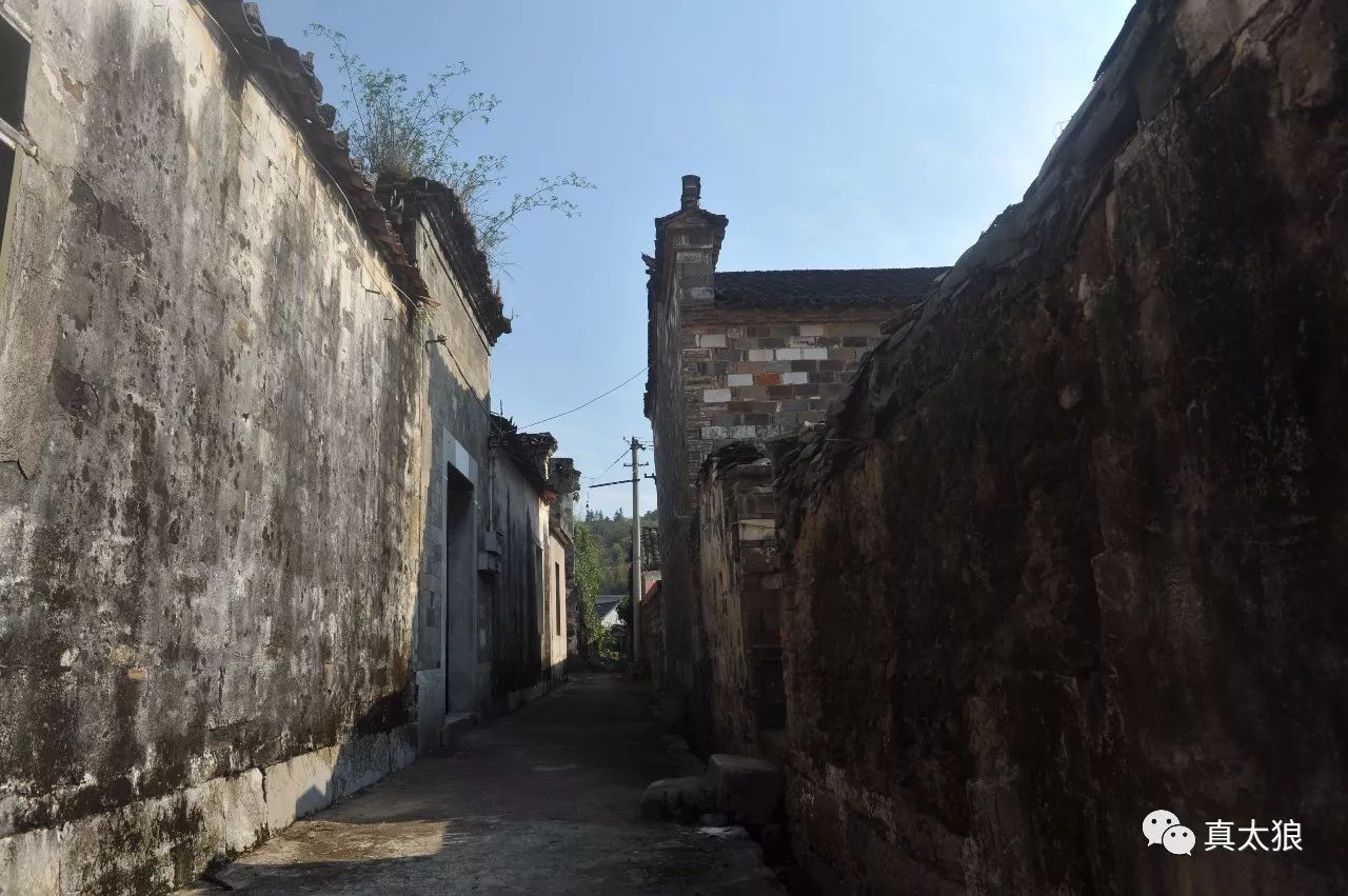 ‘开云电竞官方网站’全球AI芯片投资版图公开!机会都在这五大场景(图1) 开云电竞